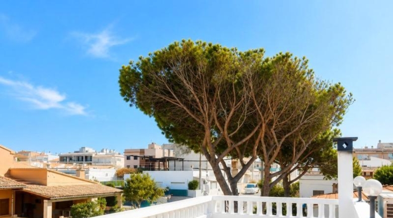 Balearic Islands - Лас-Салинас - 255m2