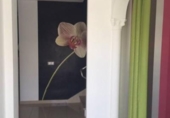 Chalet independiente con terreno en venta en la España, Adeje, ref: TR145855 foto