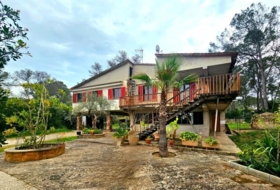 Foto 10