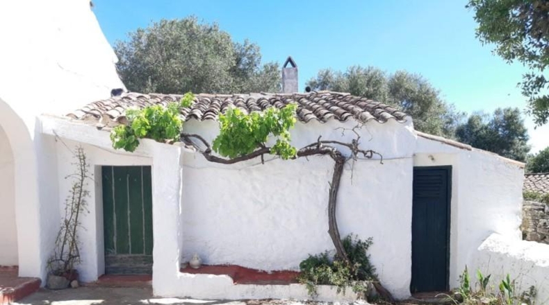 Islas Baleares - Alaior - 220000m2