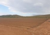 Terreno no urbanizable en venta en la España, Montealegre del Castillo, ref: TR136422 foto