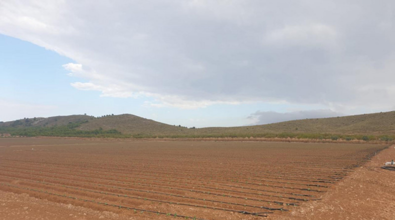 Murcia - Jumilla - 450000m2
