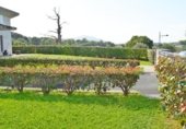 Detached villa with land for sale on España, Monte, ref: TR150027 photo