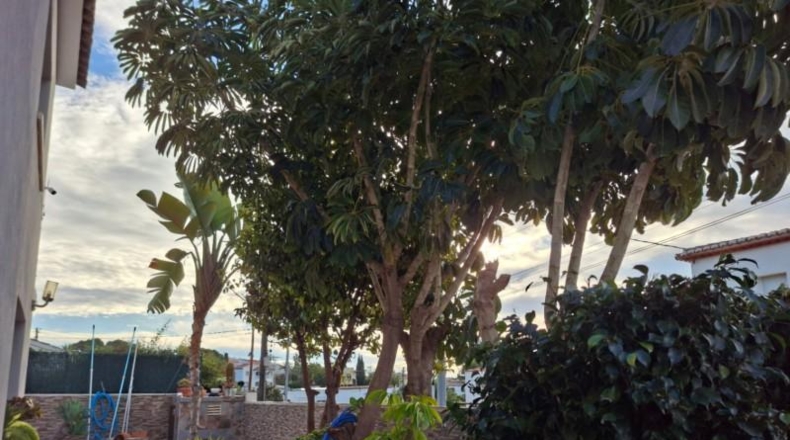 Alicante - Calpe - 500m2