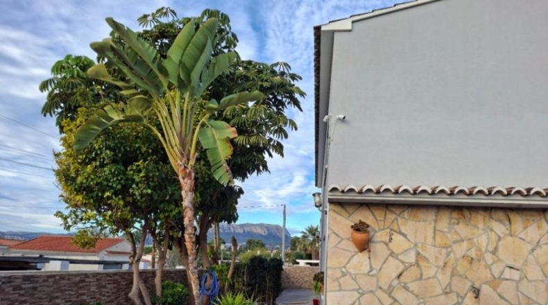 Alicante - Calpe - 500m2