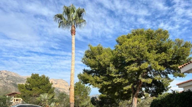 Alicante - La Nucía - 3000m2