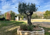 Chalet independiente con terreno en venta en la España, La Nucia, ref: TR392678 foto