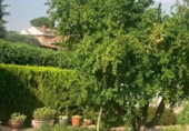 Detached villa with land for sale on España, Villalbilla, ref: TR384892 photo