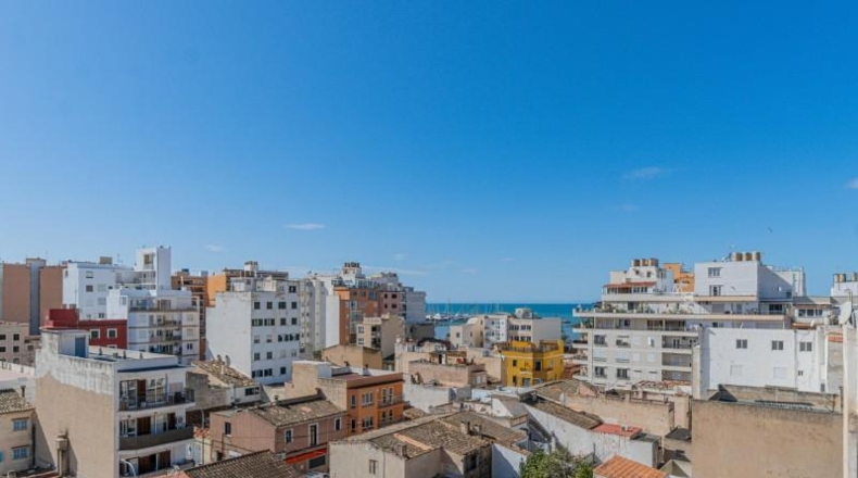 Balearic Islands - Palma - 793m2