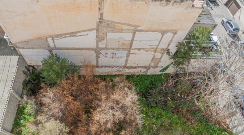 Balearic Islands - Palma - 793m2