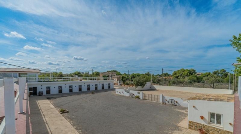 Balearic Islands - Palma - 591m2