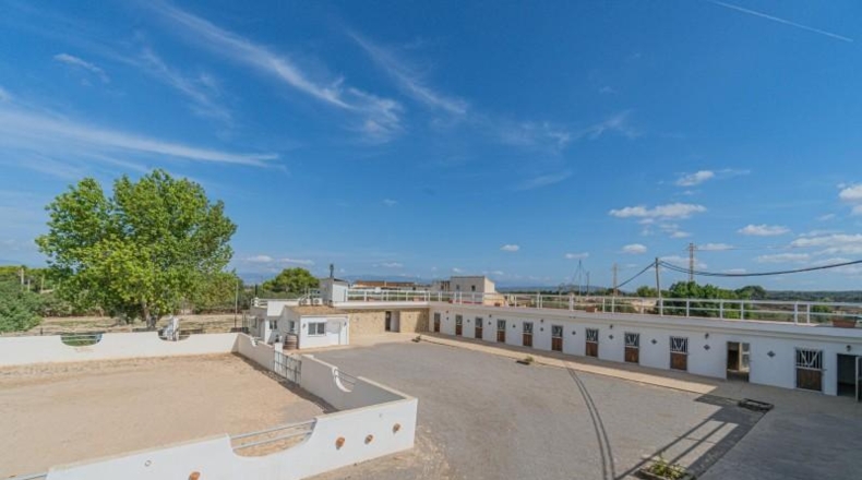 Balearic Islands - Palma - 591m2