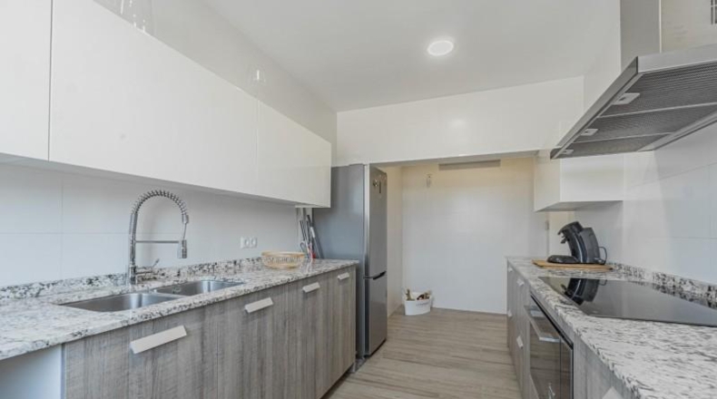 Balearic Islands - Palma - 591m2