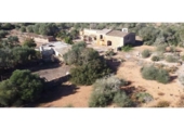 Detached villa with land for sale on España, Llucmajor, ref: TR240567 photo