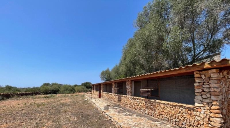 Balearic Islands - Lluchmayor - 304031m2