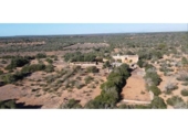 Detached villa with land for sale on España, Llucmajor, ref: TR240567 photo