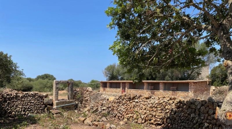 Balearic Islands - Lluchmayor - 304031m2