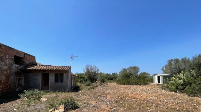 Balearic Islands - Lluchmayor - 304031m2