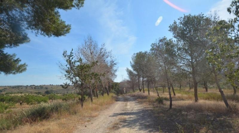 Аликанте - Orihuela - 407000m2