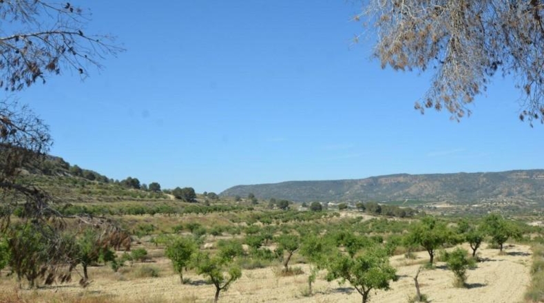 Аликанте - Orihuela - 407000m2