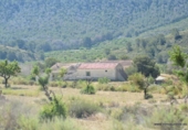 Terreny no urbanitzable en venda a la España, Oriola, ref.: TR280561 foto