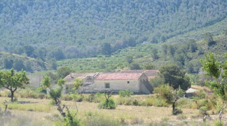 Аликанте - Orihuela - 407000m2