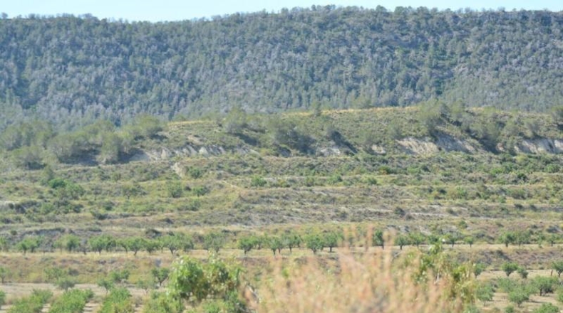 Аликанте - Orihuela - 407000m2