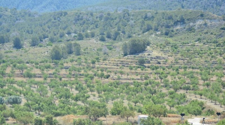 Аликанте - Orihuela - 407000m2