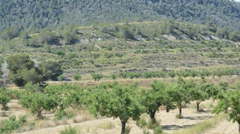 Аликанте - Orihuela - 407000m2