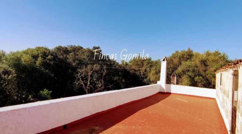 Islas Baleares - Alaior - 221000m2