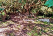 Country house with land for sale on España, Alaior, ref: TR141122 photo