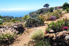 Guía de Isora 6500&nbsp;m² 