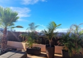 Chalet independiente con terreno en venta en la España, Guía de Isora, ref: TR401387 foto