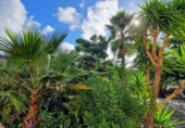 Chalet independiente con terreno en venta en la España, Guía de Isora, ref: TR401387 foto