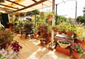 Detached villa with land for sale on España, Marbella, ref: TR308268 photo