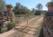 Detached villa with land for sale on España, Llucmajor, ref: TR158621 photo
