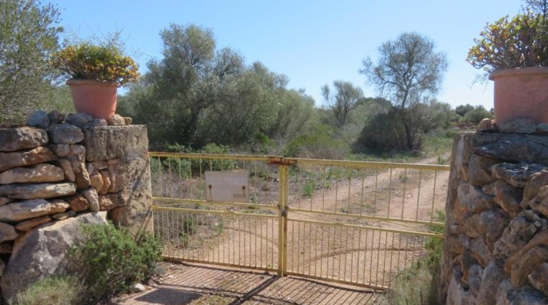 Islas Baleares - Cala Pi - 304091m2