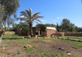 Detached villa with land for sale on España, Llucmajor, ref: TR158621 photo