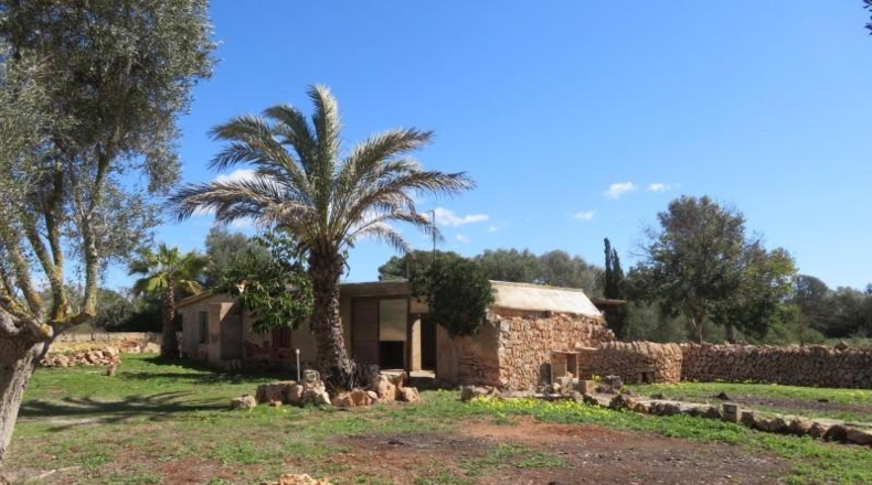 Islas Baleares - Cala Pi - 304091m2