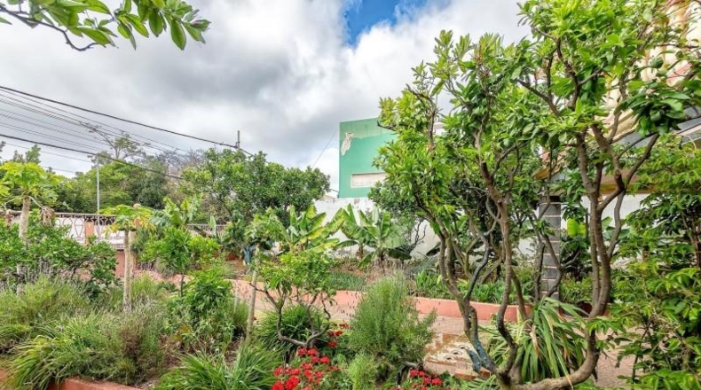 Las Palmas - Las Palmas de Gran Canaria - 754m2