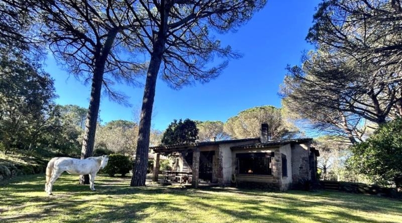 Gerona - Santa Cristina d'Aro - 16863m2