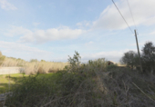 Detached villa with land for sale on España, Llucmajor, ref: TR134801 photo