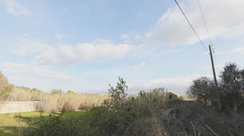 Islas Baleares - Llucmajor - 230000m2