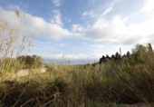 Detached villa with land for sale on España, Llucmajor, ref: TR134801 photo