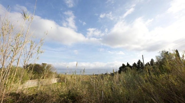 Islas Baleares - Llucmajor - 230000m2