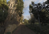 Detached villa with land for sale on España, Llucmajor, ref: TR134801 photo