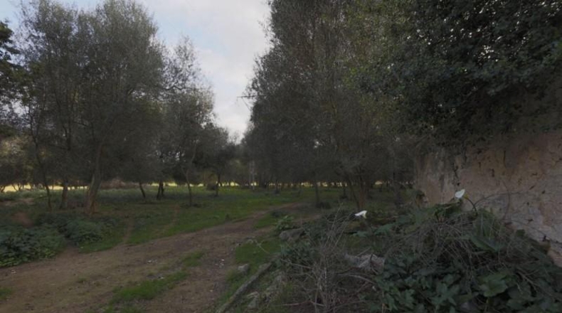 Islas Baleares - Llucmajor - 230000m2