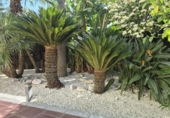 Chalet independiente con terreno en venta en la España, Bormujos, ref: TR403065 foto