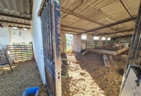 Foto 13