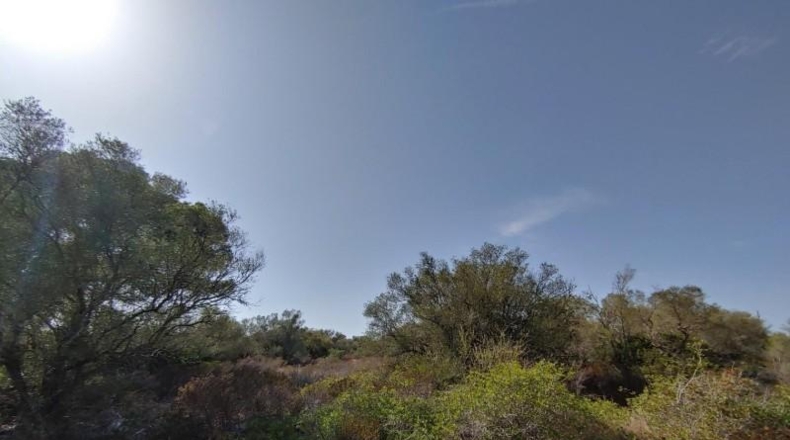 Balearic Islands - Lluchmayor - 229000m2